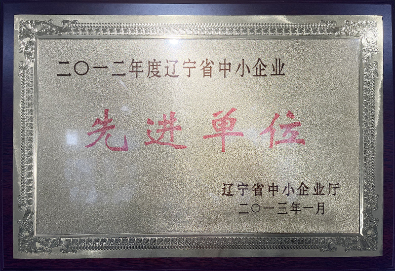 遼寧省中小企業(yè)先進單位